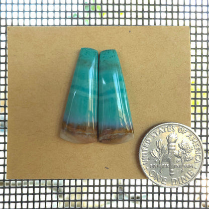 Natural Opalized Wood Freeform Pairs