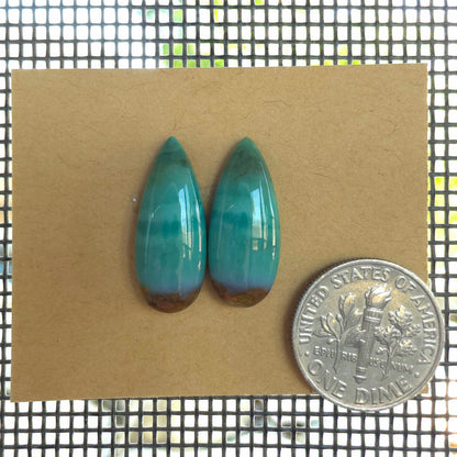 Natural Opalized Wood Pear-Shaped Pairs