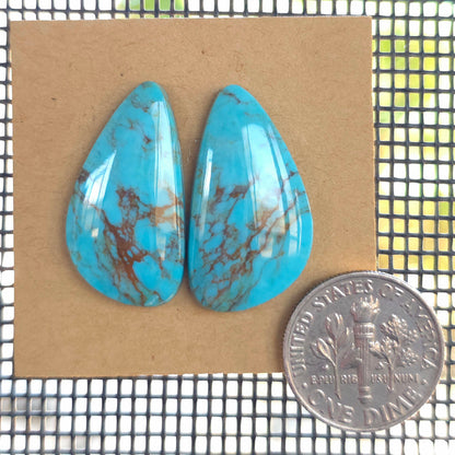 Stabilized Kingman Turquoise Freeform Pairs