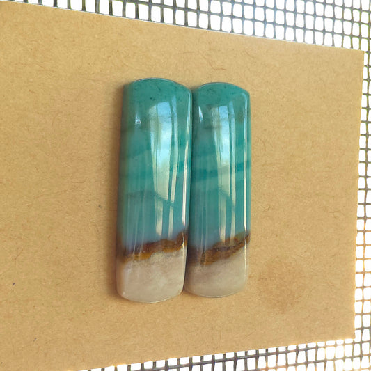 Natural Opalized Wood Rectangular Pairs