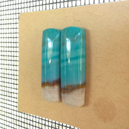 Natural Opalized Wood Rectangular Pairs