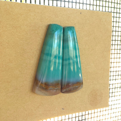 Natural Opalized Wood Freeform Pairs