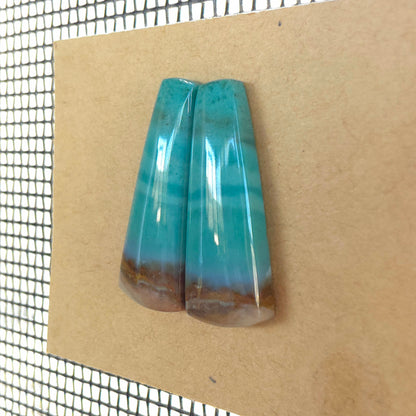 Natural Opalized Wood Freeform Pairs