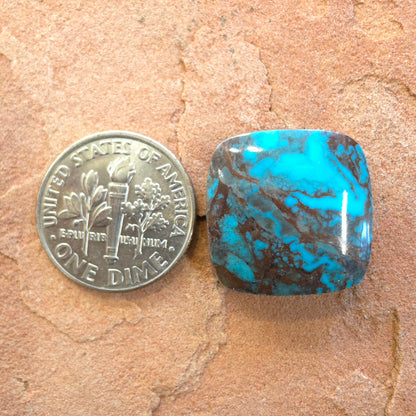 Stabilized Bisbee Turquoise Square