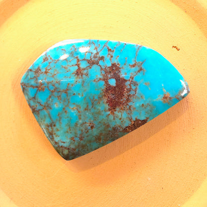Stabilized Egyptian Prince Turquoise Freeform