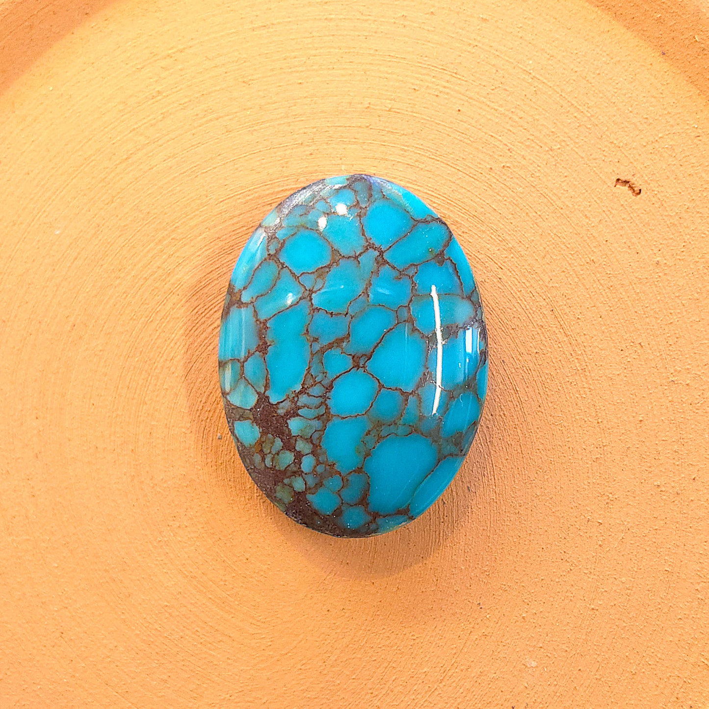 Stabilized Egyptian Prince Turquoise Oval