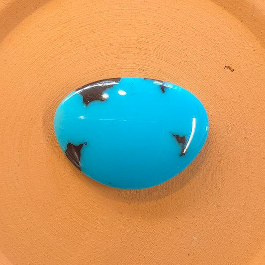 Stabilized Egyptian Prince Turquoise Freeform