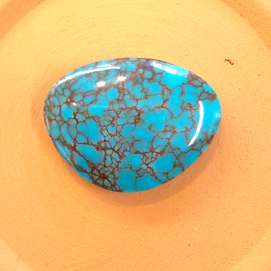 Stabilized Egyptian Prince Turquoise Freeform