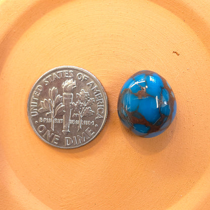 Stabilized Egyptian Prince Turquoise Freeform