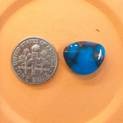 Stabilized Egyptian Prince Turquoise Freeform