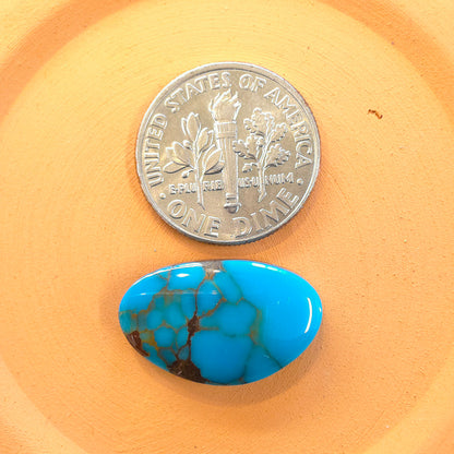 Stabilized Egyptian Prince Turquoise Freeform