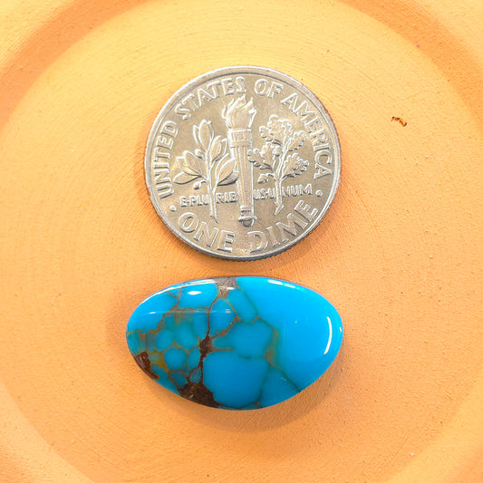 Stabilized Egyptian Prince Turquoise Freeform