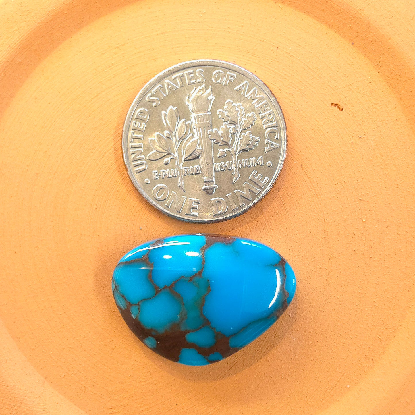 Stabilized Egyptian Prince Turquoise Freeform