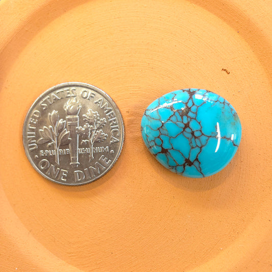 Stabilized Egyptian Prince Turquoise Freeform
