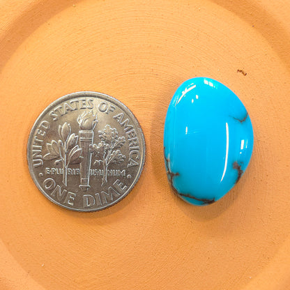 Stabilized Egyptian Prince Turquoise Freeform