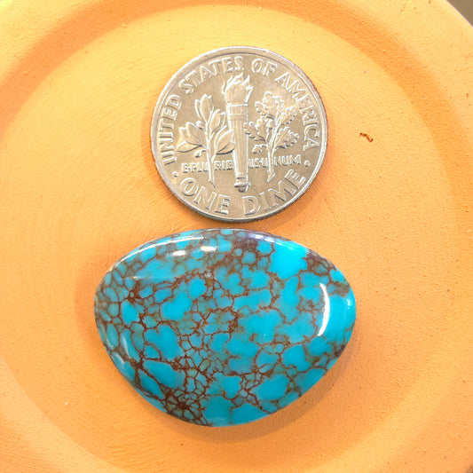 Stabilized Egyptian Prince Turquoise Freeform