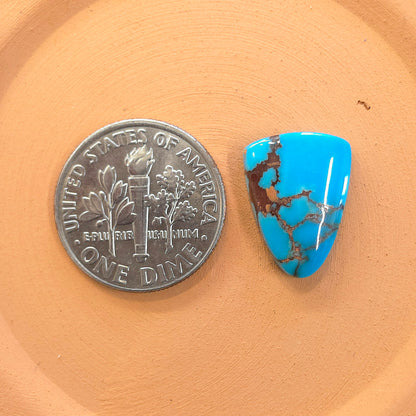 Stabilized Egyptian Prince Turquoise Tongue-Shaped