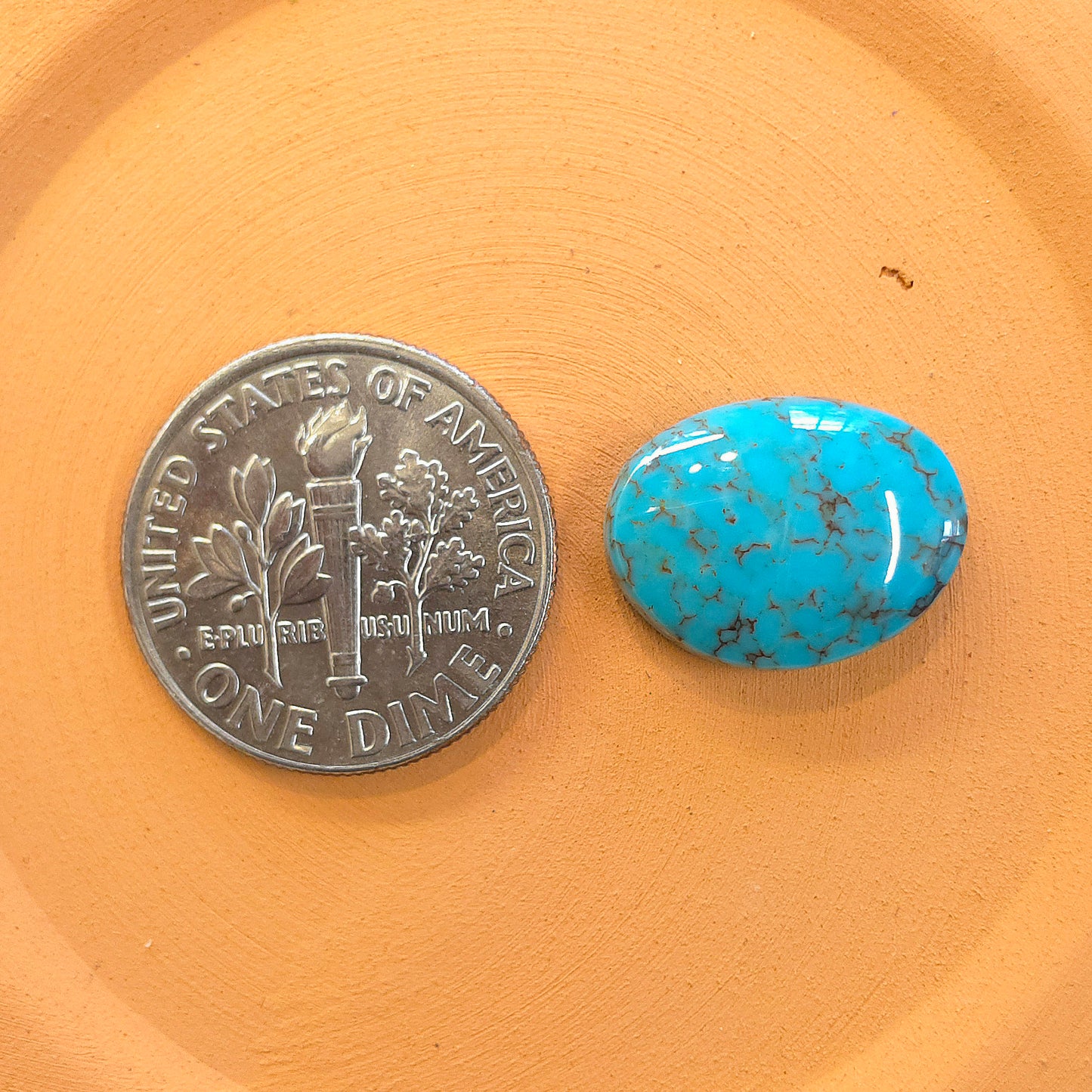 Stabilized Egyptian Prince Turquoise Freeform