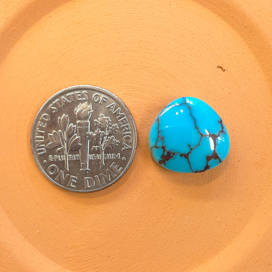 Stabilized Egyptian Prince Turquoise Freeform