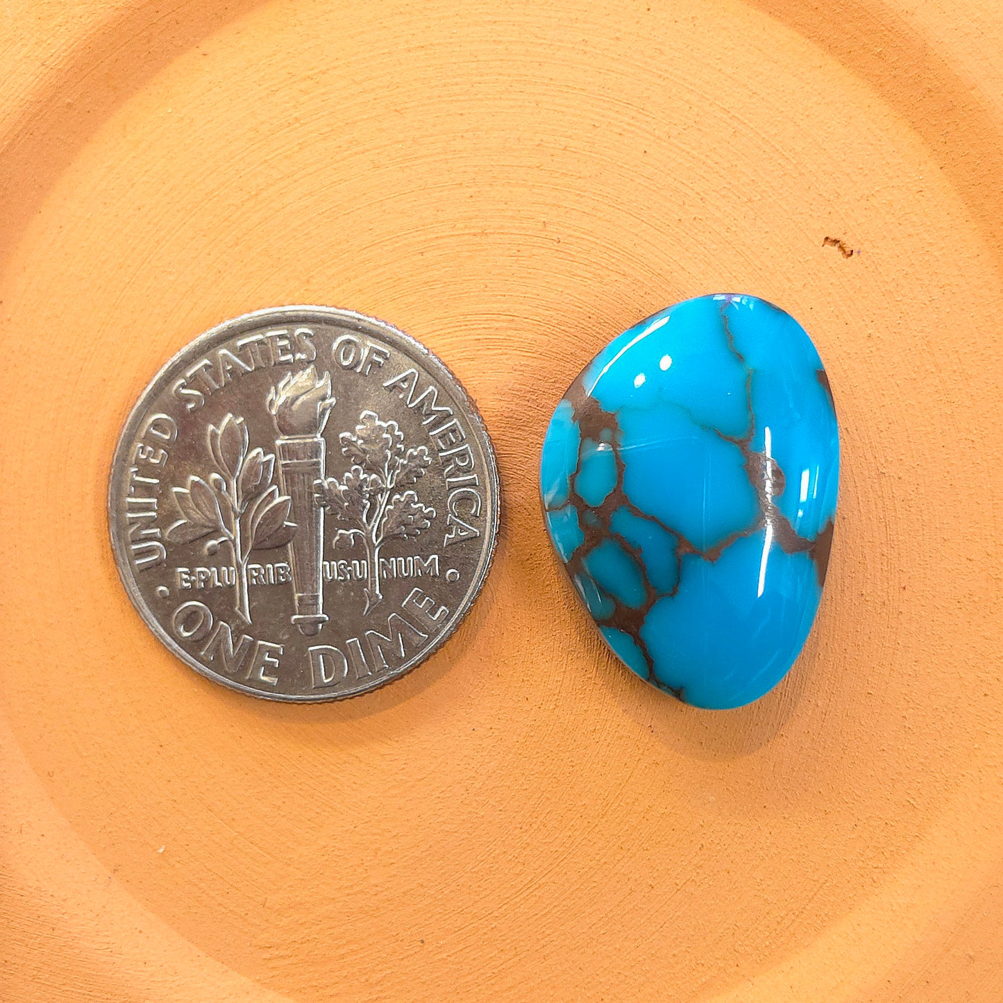 Stabilized Egyptian Prince Turquoise Freeform