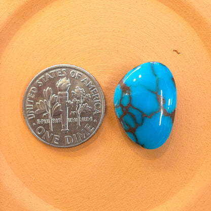 Stabilized Egyptian Prince Turquoise Freeform