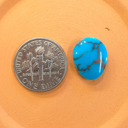 Stabilized Egyptian Prince Turquoise Freeform