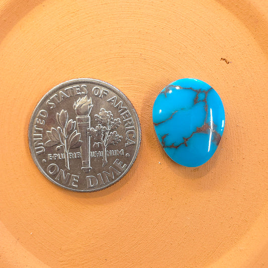 Stabilized Egyptian Prince Turquoise Freeform