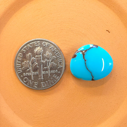 Stabilized Egyptian Prince Turquoise Freeform