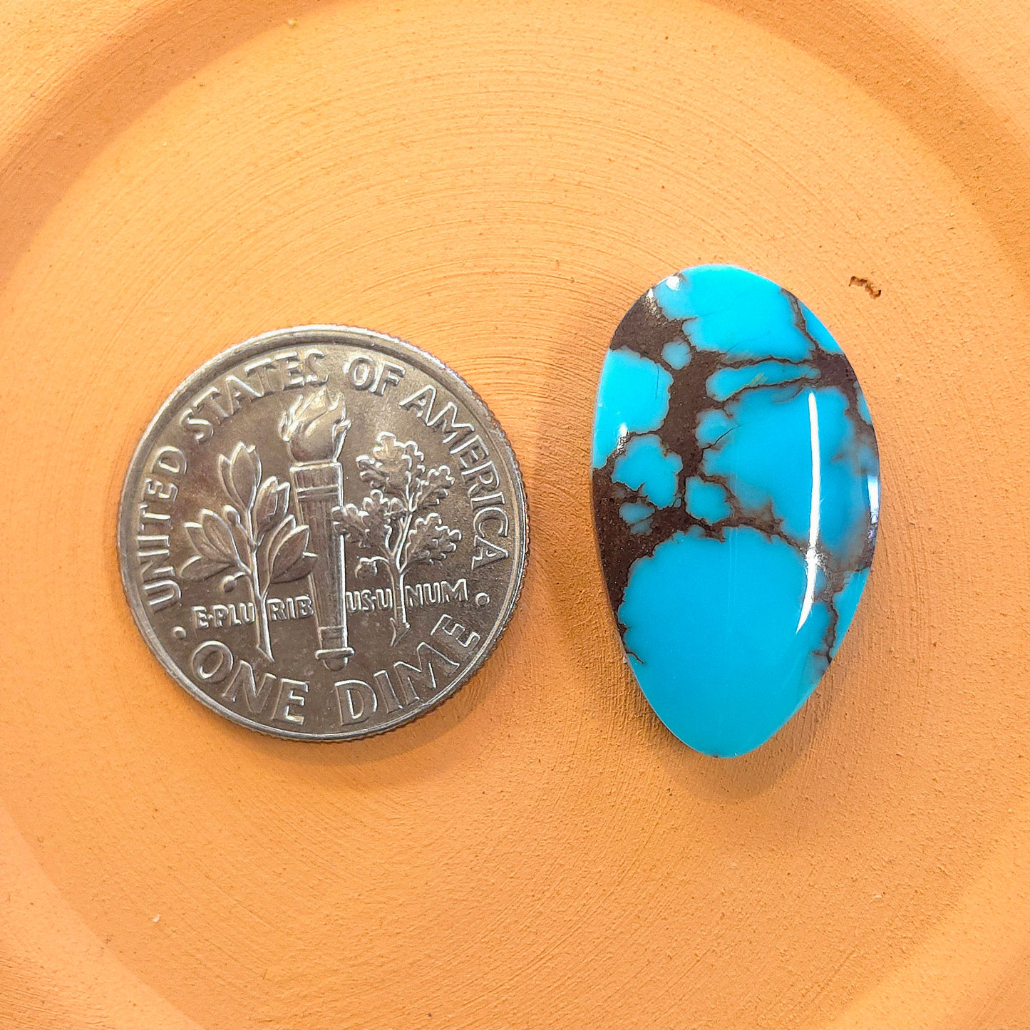 Stabilized Egyptian Prince Turquoise Freeform