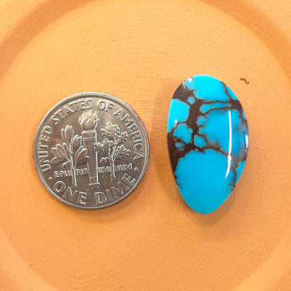 Stabilized Egyptian Prince Turquoise Freeform