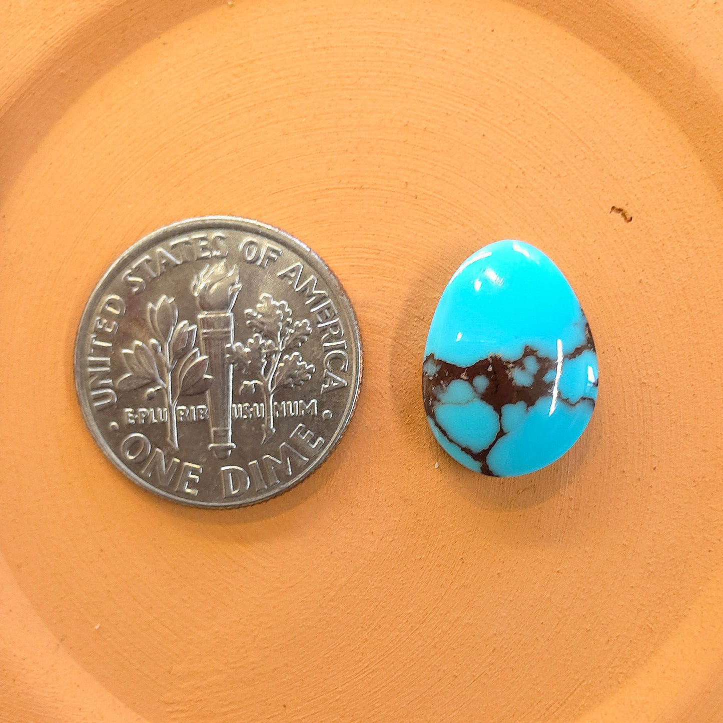 Stabilized Egyptian Prince Turquoise Freeform