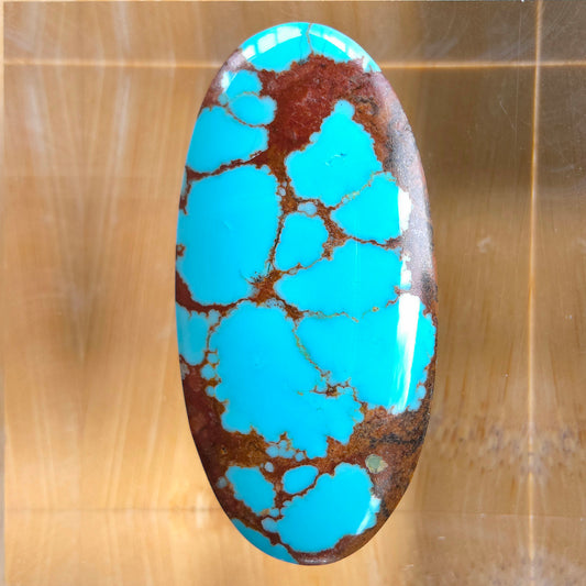 Stabilized #8 Turquoise Oval