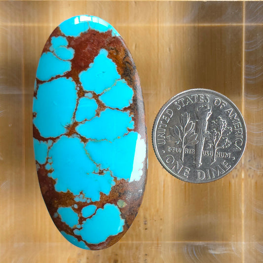 Stabilized #8 Turquoise Oval