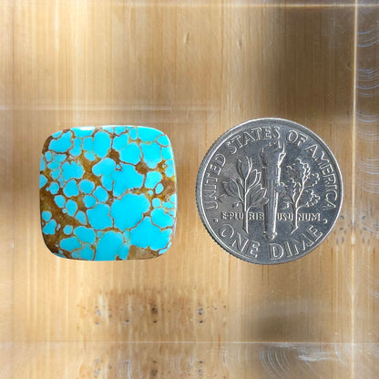 Stabilized #8 Turquoise Square