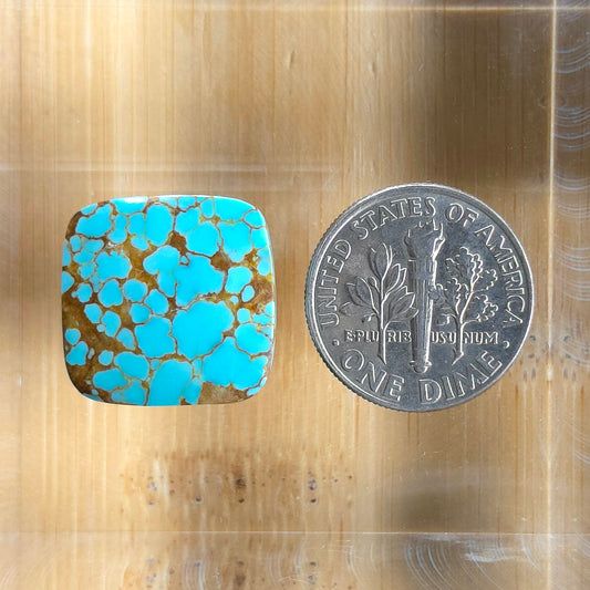 Stabilized #8 Turquoise Square