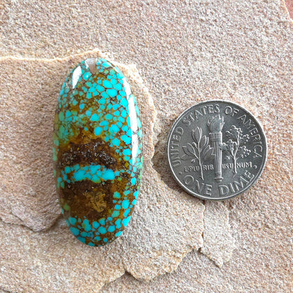 Stabilized Patagonia Turquoise Oval