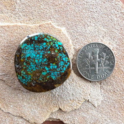 Stabilized Patagonia Turquoise Freeform
