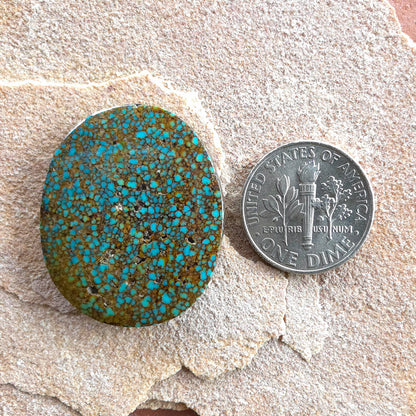 Stabilized Patagonia Turquoise Freeform