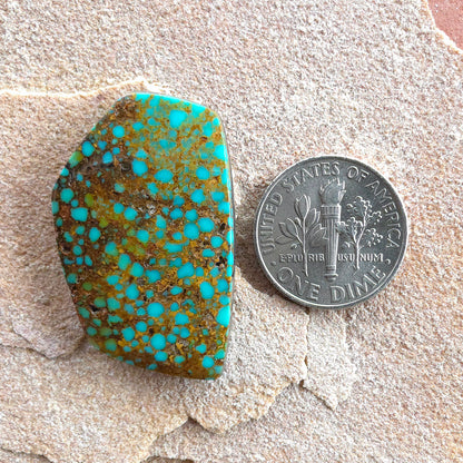 Stabilized Patagonia Turquoise Freeform
