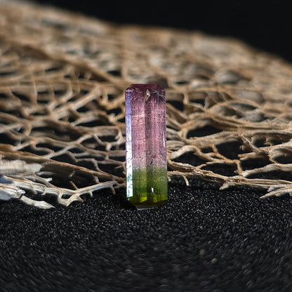 Brazilian Tourmaline (Bicolor) Rectangular Faceted Cut