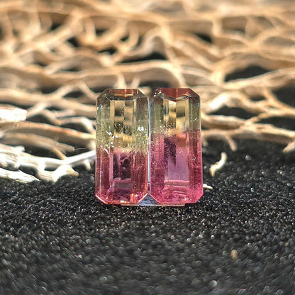Brazilian Tourmaline (Bicolor) Rectangular Faceted Pair