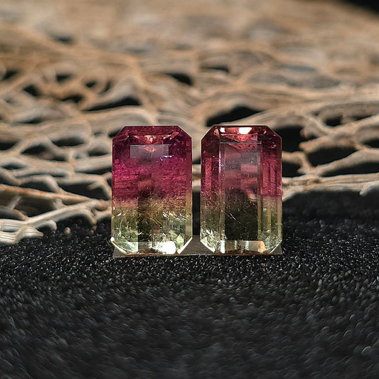 Brazilian Tourmaline (Bicolor) Rectangular Faceted Pair