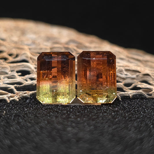Brazilian Tourmaline (Bicolor) Rectangular Faceted Pair