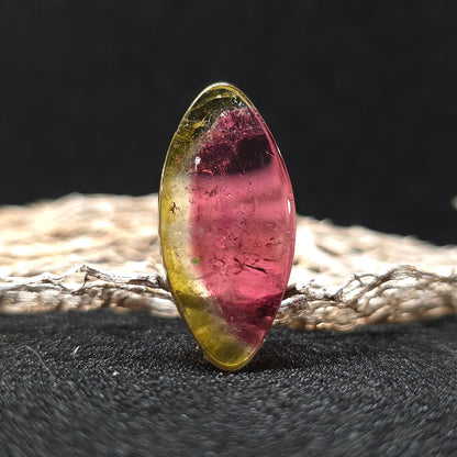 Brazilian Tourmaline (Watermelon) Freeform Slice