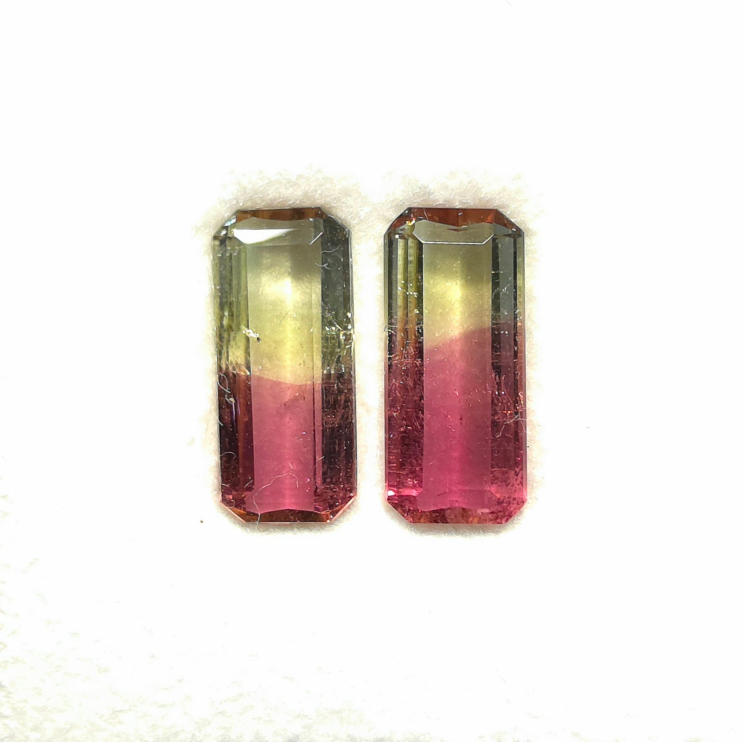 Brazilian Tourmaline (Bicolor) Rectangular Faceted Pair