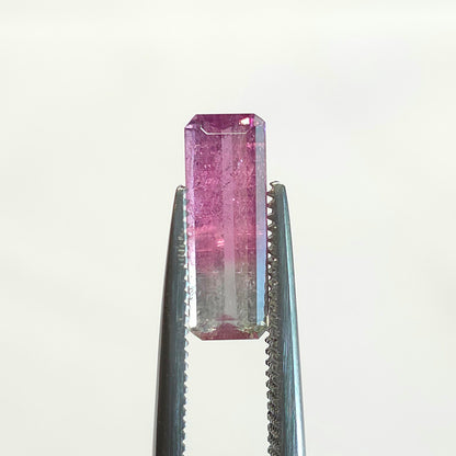 Brazilian Tourmaline (Bicolor) Rectangular Faceted Cut