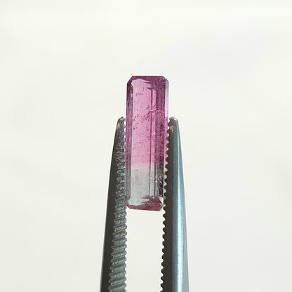 Brazilian Tourmaline (Bicolor) Rectangular Faceted Cut