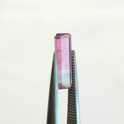 Brazilian Tourmaline (Bicolor) Rectangular Faceted Cut