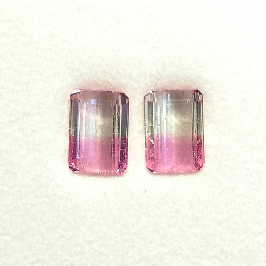 Brazilian Tourmaline (Bicolor) Rectangular Faceted Pair