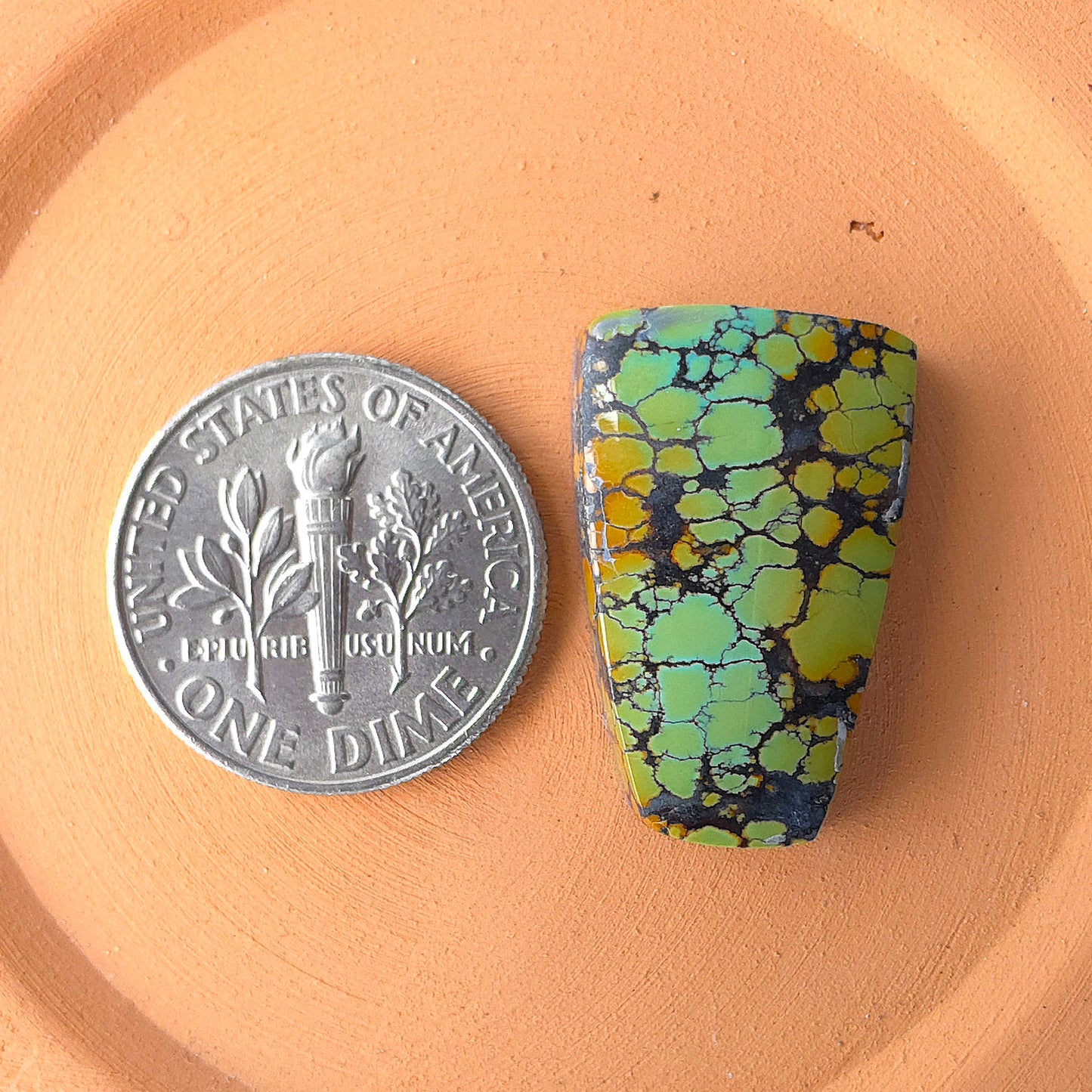 Natural Blackjack Turquoise Freeform